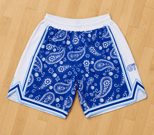 Blue Paisley